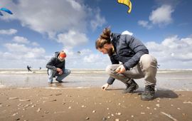 Deelnemers van de schelpenteldag 2024