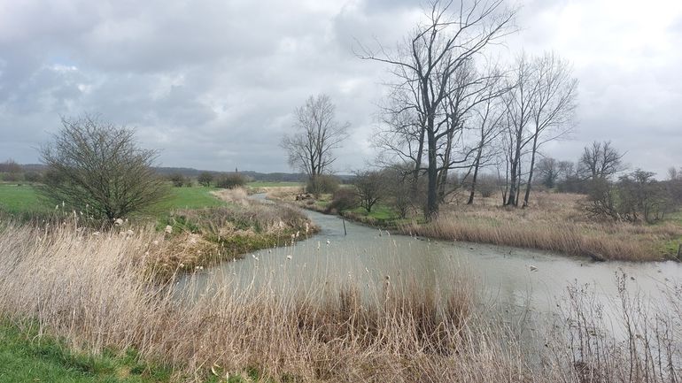 In de Amerongse Bovenpolder is zo’n vijftien jaar geleden hetzelfde gedaan. Nu is het een gebied met gevarieerde riviernatuur