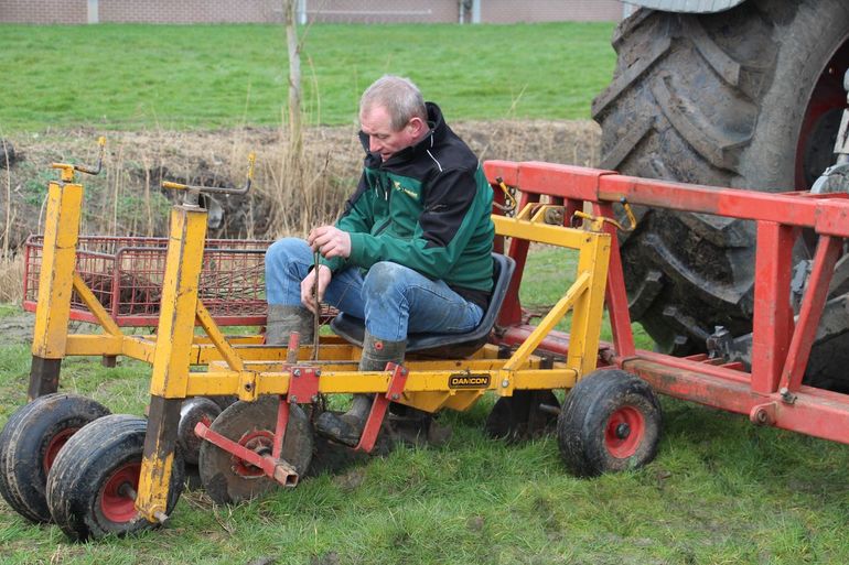 Aanplant agroforestry op Dairy Campus