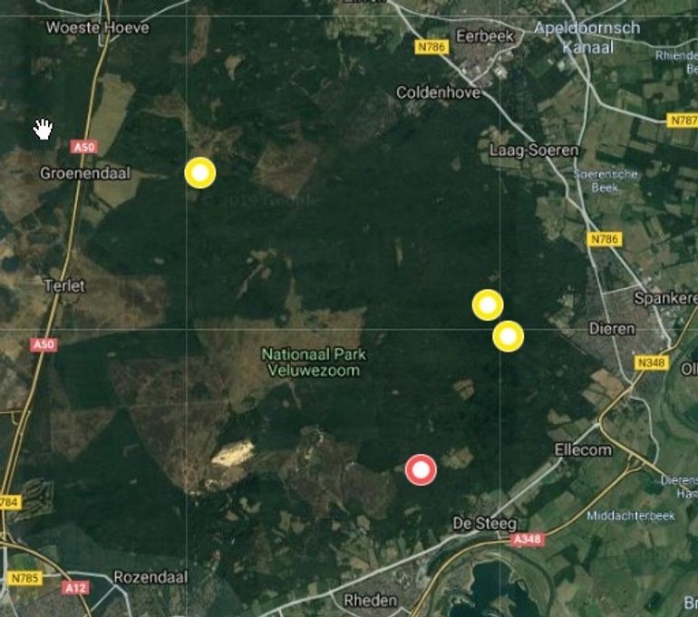 In het voorjaar van 2019 met camera’s geconstateerde aanwezigheid van steenmarters op de Veluwezoom (gele cirkels vastgelegd met cameravallen, rode cirkel nestlocatie vastgelegd met camera aan hengel)