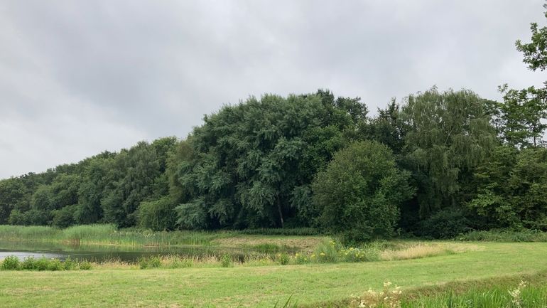 Het Dassenbos op de campus van Wageningen University & Research, dat dient als één van de bemonsteringslocaties