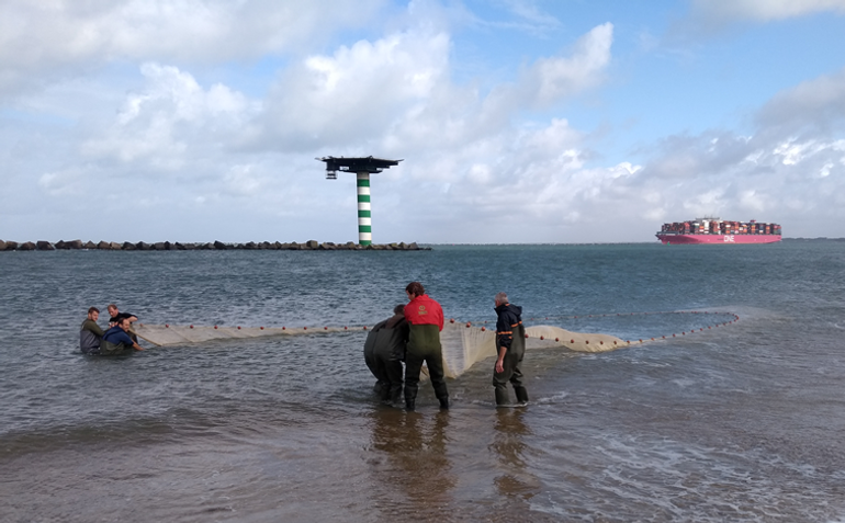 Zegenvissen met vrijwilligers in het kader van het project ‘Een Zegen in de Delta’ (foto is uit pre-coronatijdperk)