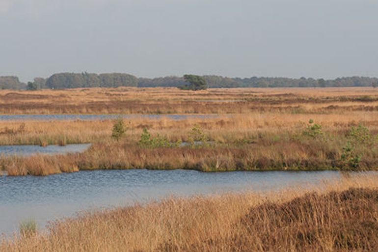 Het Hijkerveld te Drenthe