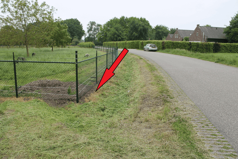 Soms zitten ze op de gekste plekken, zoals dit nest bij de rode pijl