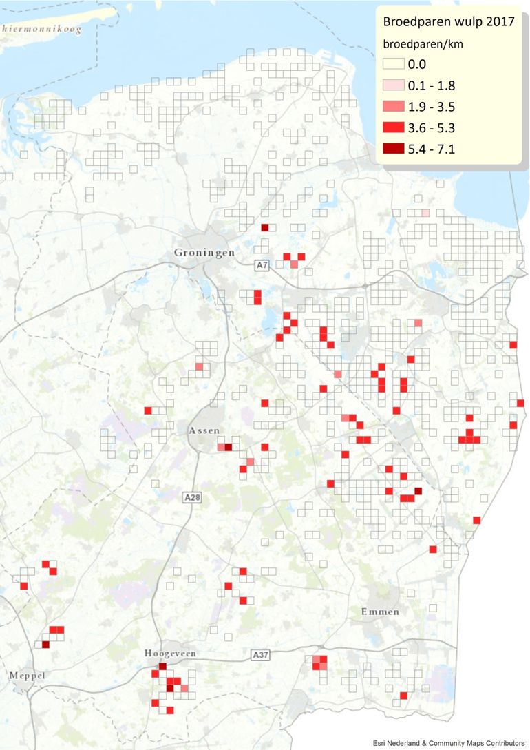 Dichtheden van de wulp in het broedvogelmeetnet van provincie Drenthe, provincie Groningen en Werkgroep Grauwe Kiekendief in 2017. Alle telpunten liggen in akkerbouwgebied, en alle kilometerhokken waarin is geteld zijn weergegeven. Een vast aantal punten wordt geteld in opdracht van de provincies Drenthe en Groningen; deze worden aangevuld met tellingen van een grote groep vrijwilligers.