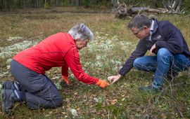 Projectleider en vrijwilliger in natuurgebied De Zoom Soest