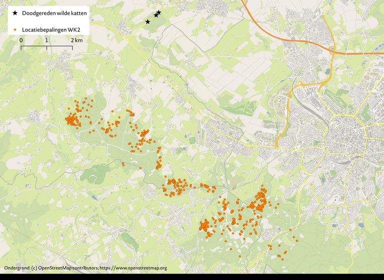 Wilde kat WK2 is van oktober 2014 tot en met april 2015 gevolgd met een GPS-halsbandzender. Elke oranje stip is een locatie waar het dier is geweest