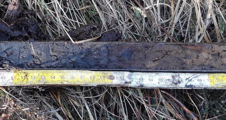Deel van een bodemprofiel waar onderin bruine leem is aangetroffen. Een deel van de leem is zwart, wat is veroorzaakt door de inspoeling van disperse humus