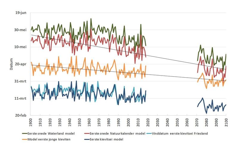 Naast de berekende maaidata volgens het Waterland- en Natuurkalendermodel nu ook de vinddatum van het eerste kievitsei in Friesland (lichtblauwe lijn), de berekende eerste vinddatum (donkerblauwe lijn) en het berekende moment waarop de eerste eieren uitkomen (oranje lijn). De zwarte lijnen geven de verschillende trends weer.
