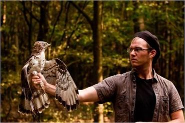 Honeybuzzard in hand