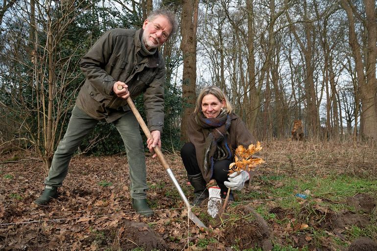 Gedeputeerde Mirjam Sterk plant samen met H. J. van der Tak struiken voor een struweelhaag