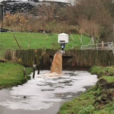 Als je de structurele mestoverschotten niet wegwerkt, blijven de sloten bruin