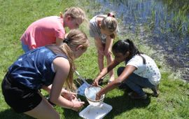 Een klas verzamelt waterdieren bij het NME de Helderse Vallei in Den Helder op de dag van de lancering van Waterdiertjes.nl (7 mei 2018)