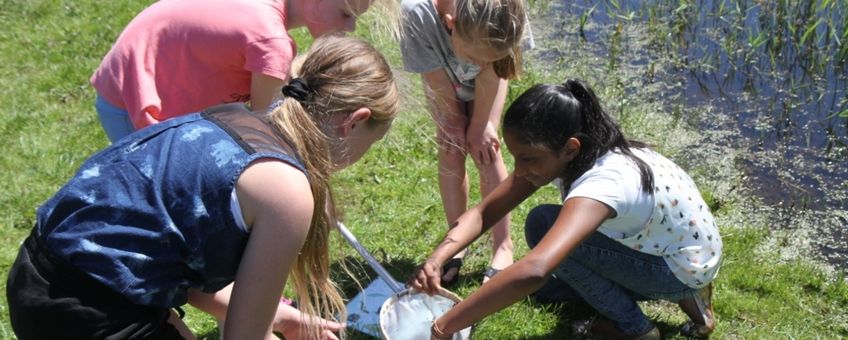 Een klas verzamelt waterdieren bij het NME de Helderse Vallei in Den Helder op de dag van de lancering van Waterdiertjes.nl (7 mei 2018)