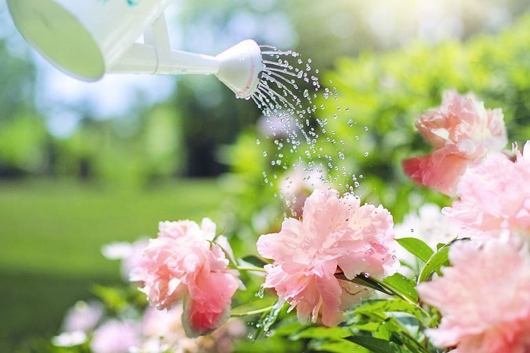 Boots bij het planten water geven de regen na