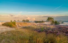 Loonse en Drunense duinen voor eenmalig gebruik