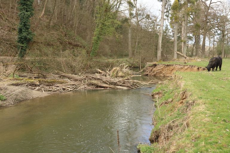 A landscape with space for natural processes