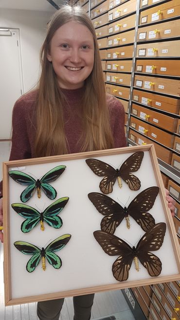 Noortje Looijenga met zogeheten 'Birdwing' vlinders