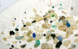 Voorbeeld van plastic partikels uit de neuston netten van de Sea Education Association