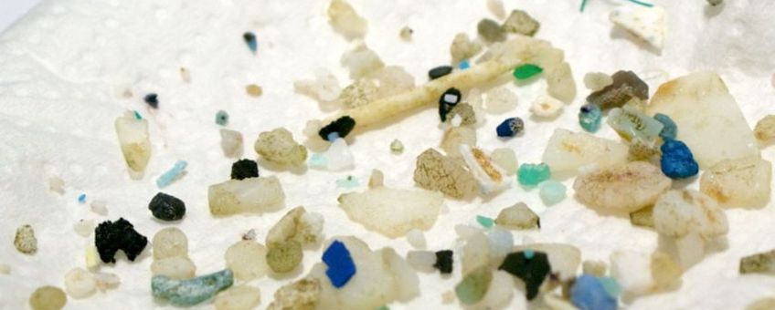 Voorbeeld van plastic partikels uit de neuston netten van de Sea Education Association