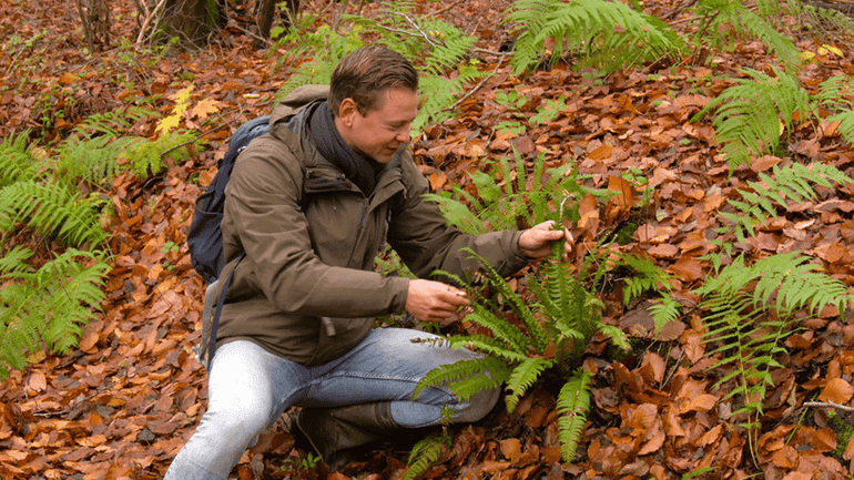 Stef in het veld