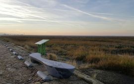 It Fryske Gea Bankje en infobord bij het uitkijkpunt op de Holwerterwestpolder