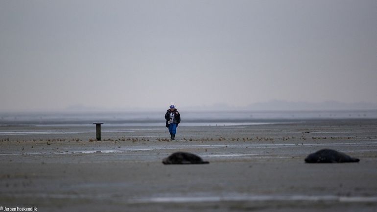 Sophie Brasseur tijdens zeehondentelling op Griend