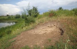 Stierenkuil in de Gelderse Poort