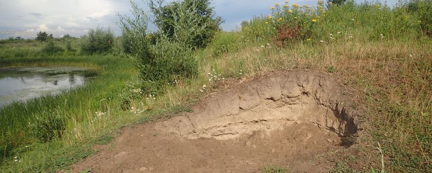 Stierenkuil in de Gelderse Poort