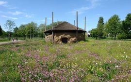 Het eerste bijenlandschap in Zuid-Holland is gerealiseerd rondom de hooischuur op het Heineken terrein in Zoeterwoude