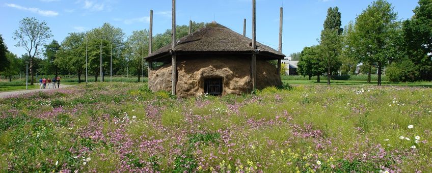 Het eerste bijenlandschap in Zuid-Holland is gerealiseerd rondom de hooischuur op het Heineken terrein in Zoeterwoude