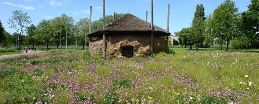 Het eerste bijenlandschap in Zuid-Holland is gerealiseerd rondom de hooischuur op het Heineken terrein in Zoeterwoude