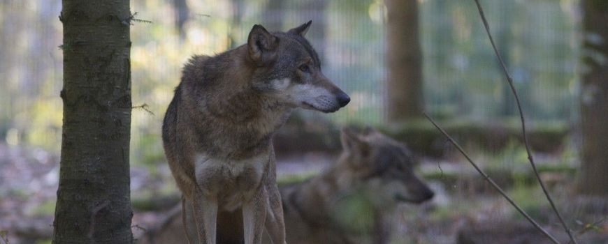 Natuurjournaal 14 februari 2026