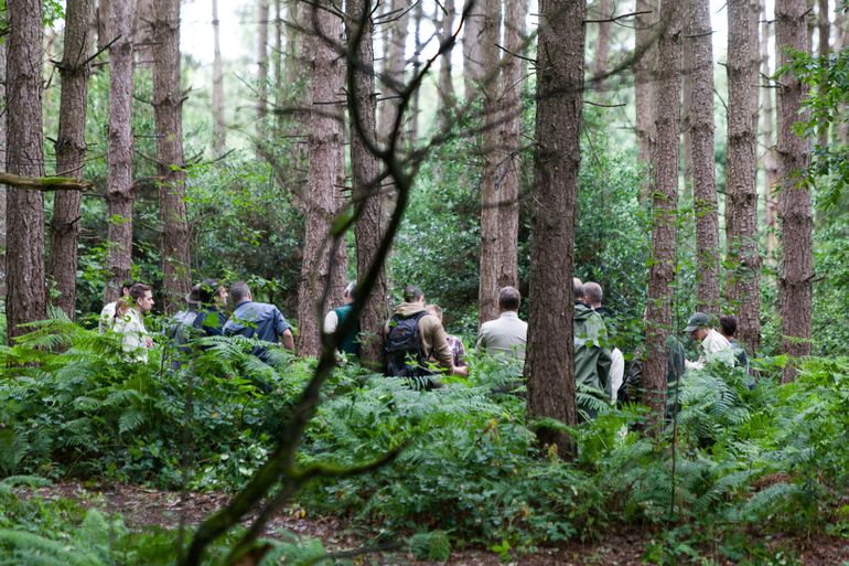 Kennis delen is een belangrijk onderdeel van LIFE Climate Forest. Zelf zien en ervaren in het bos wat de mogelijkheden zijn. Daarvoor gaan we naar demobossen en referentiebossen, waar we niet alleen gaan kijken, maar ook echt aan de slag gaan