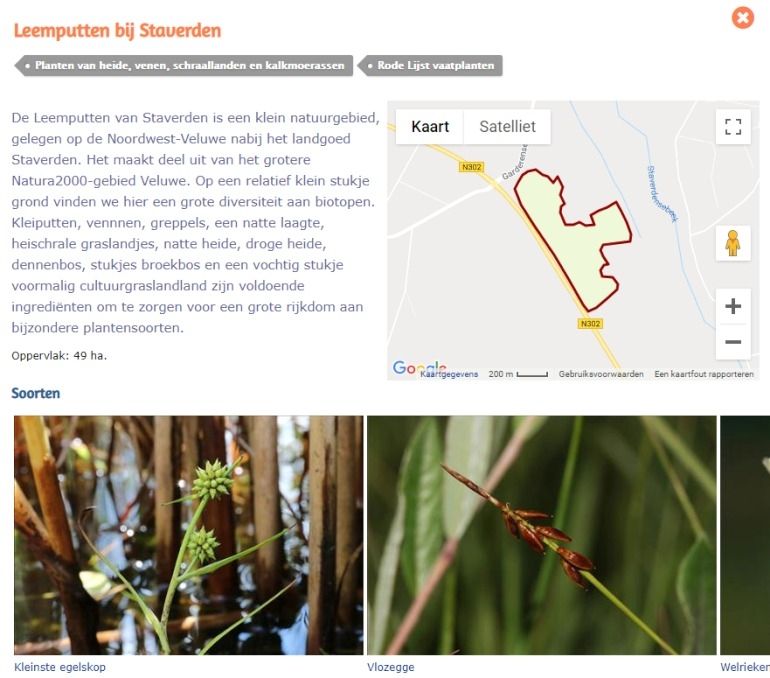 Botanische Hotspots in de NDFF Verspreidingsatlas