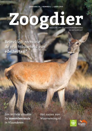 Zoogdier - lente 2025