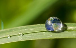 CarpathianPrince - iStock Banner IBE