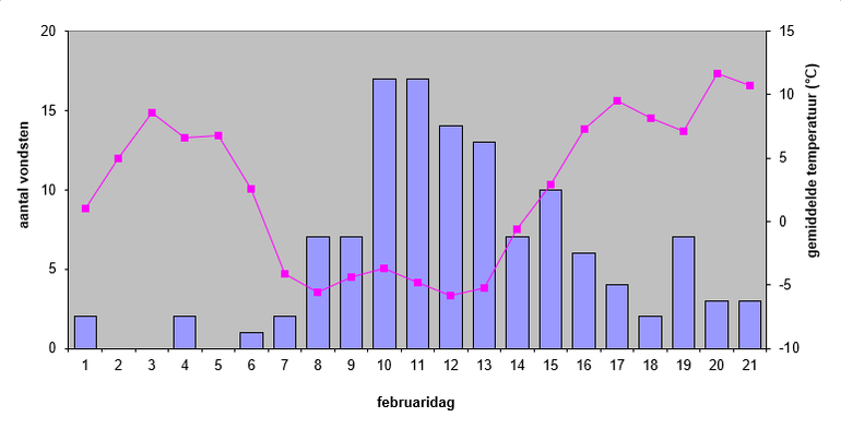 Aantal meldingen van dode Houtsnippen van 1 tot en met 21 februari 2021 (blauwe balken), afgezet tegen de gemiddelde temperatuur in Nederland (paarse lijn) 