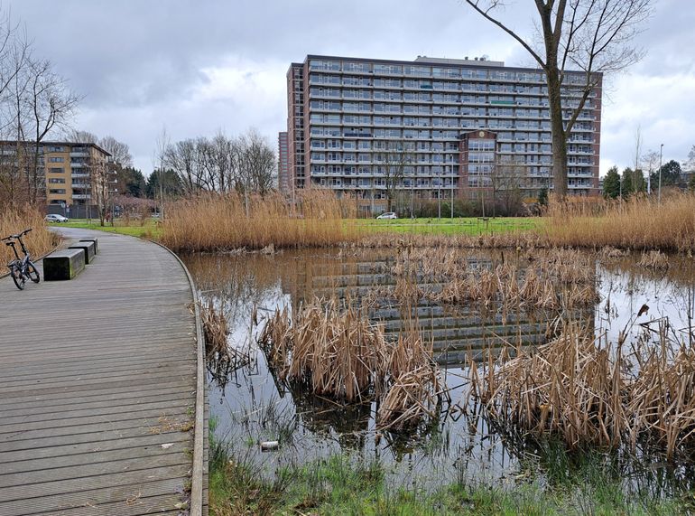 Rotterdam is een bijzonder natte stad, waar water en bebouwing vaak niet ver van elkaar verwijderd zijn, zoals hier in de wijk IJsselmonde