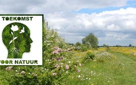 Podcast Toekomst voor Natuur - primair