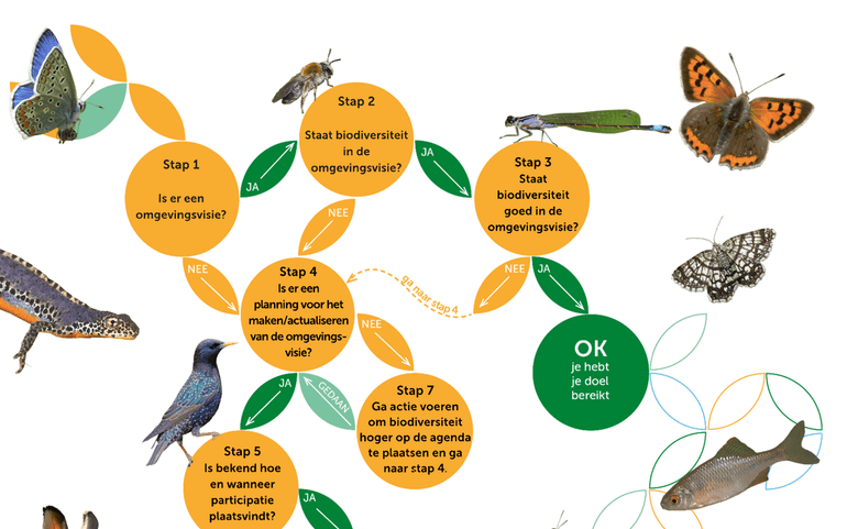 De stroomschema’s maken je wegwijs in de wereld van de Omgevingswet