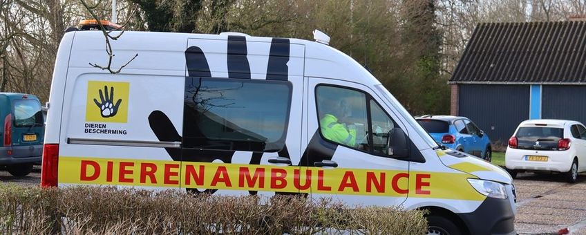 Dierenambulance