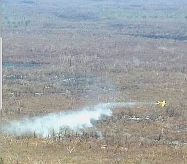 Water bomber at work