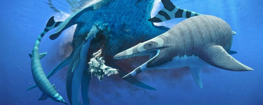 Een reconstructie van Xenodens calminechari die een karkas van de elasmosaurid Zarafasaura oceanis opruimt