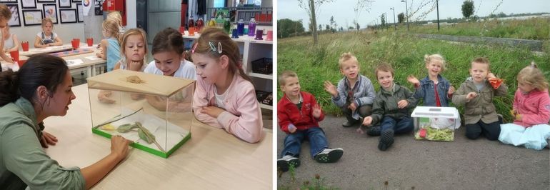 Koolwitjes in de klas heeft inmiddels al meer dan een miljoen kinderen bereikt