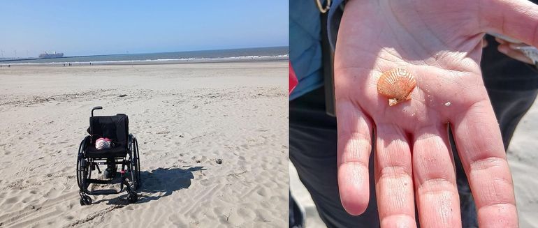 De rolstoelpaniek bij Hoek van Holland bleek loos alarm