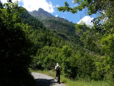 All over Europe thousands of butterfly transects are counted