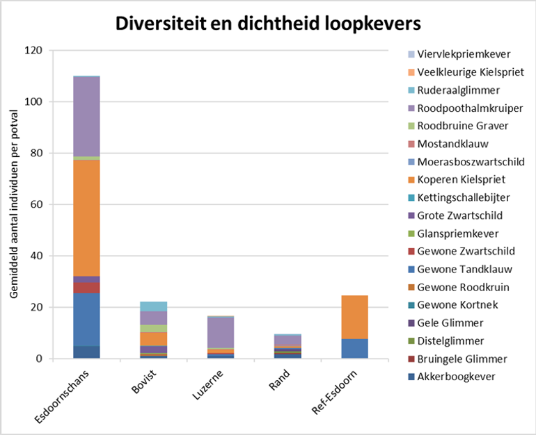 Figuur 3. Gemiddeld aantal individuen loopkevers per soort per potval per perceel. Experiment: Bovist en Esdoornschans, Ref-Esdoorn: referentie perceel Esdoornschans, Luzerne en Rand: akkerrand langs luzerneperceel