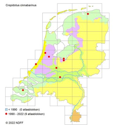 Verspreidingskaartje Crepidotus cinnabarinus