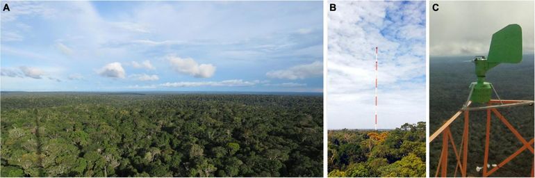Het ATTO in het Amazonewoud. A: Het uitzicht vanaf het ATTO op 100 meter hoogte. B: Het ATTO zelf. C: De spore sampler op 300 meter hoogte van het ATTO die gebruikt is om pollen en schimmelsporen te vangen
